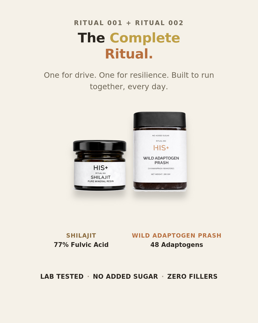 Combo (100% Pure Shilajit Resin + Wild Adaptogen Prash | Chyawanprash