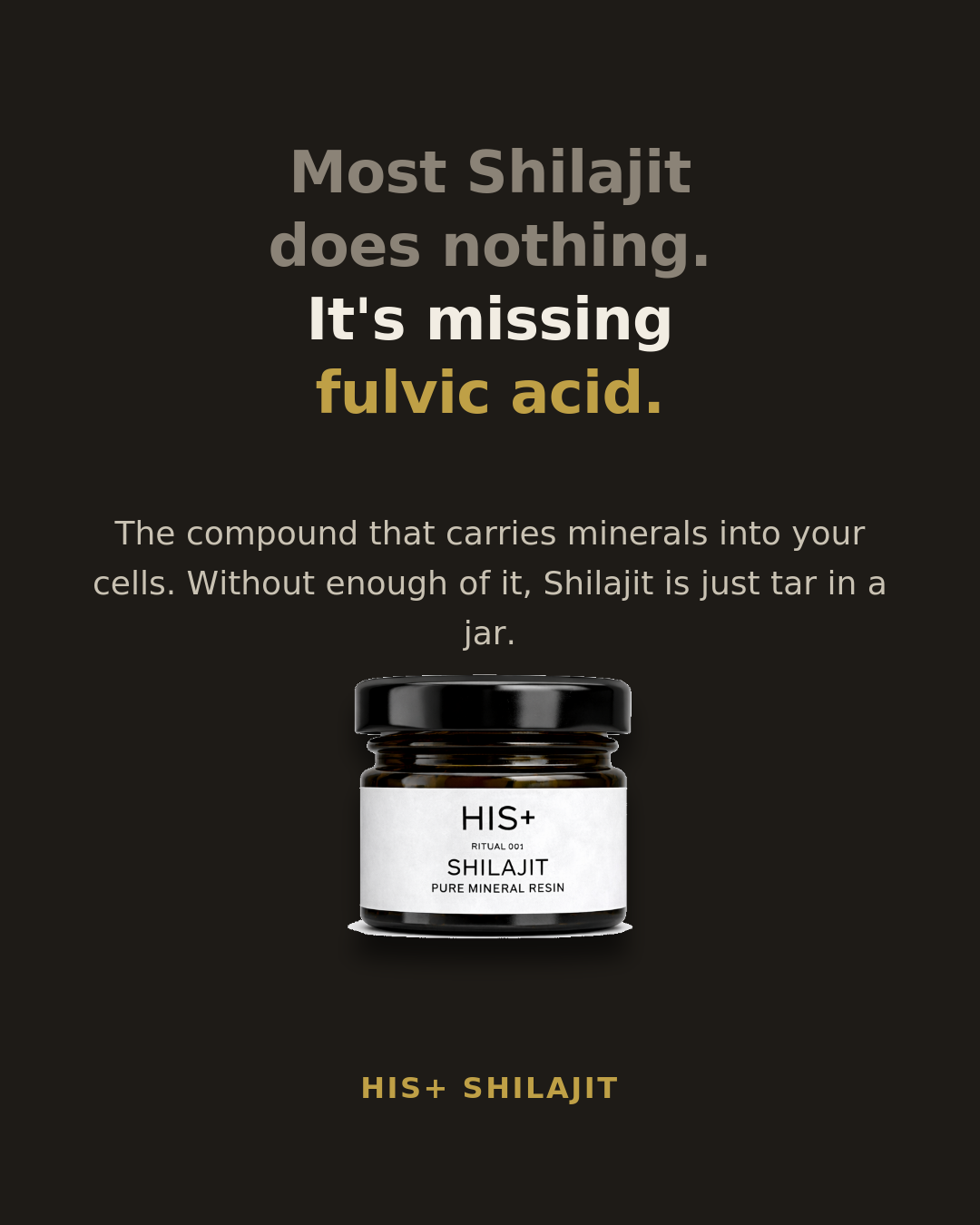100% Pure Shilajit Resin (20 gms)