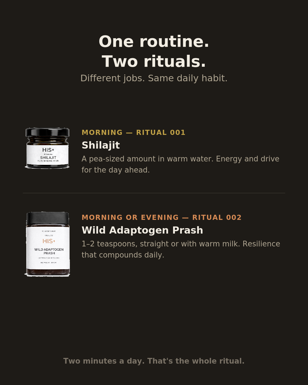Combo (100% Pure Shilajit Resin + Wild Adaptogen Prash | Chyawanprash