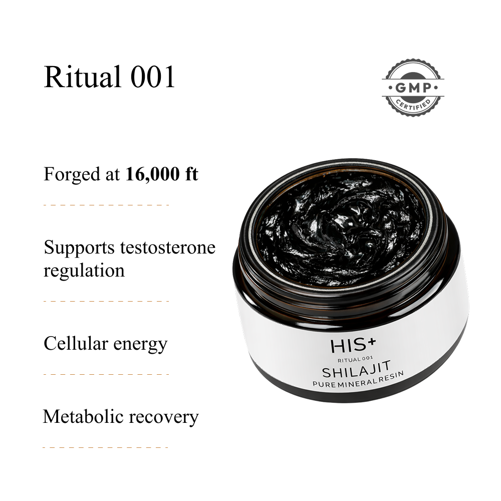 SHILAJIT | Pure Mineral Resin - Image 2