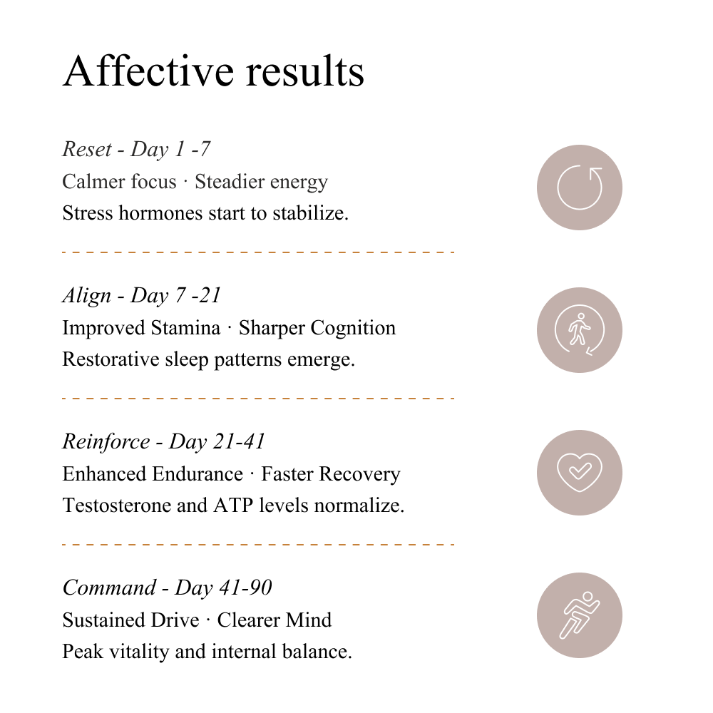 SHILAJIT | Pure Mineral Resin - Image 4